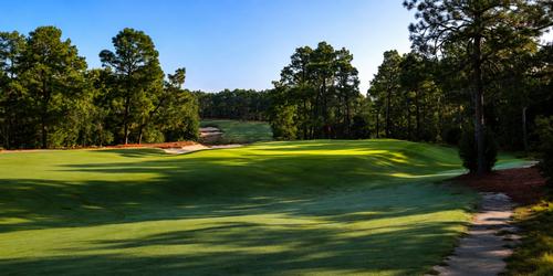 golf article